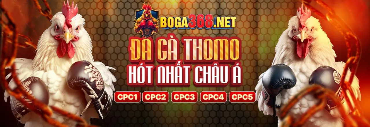 Đá Gà Trực Tuyến TA888 Code